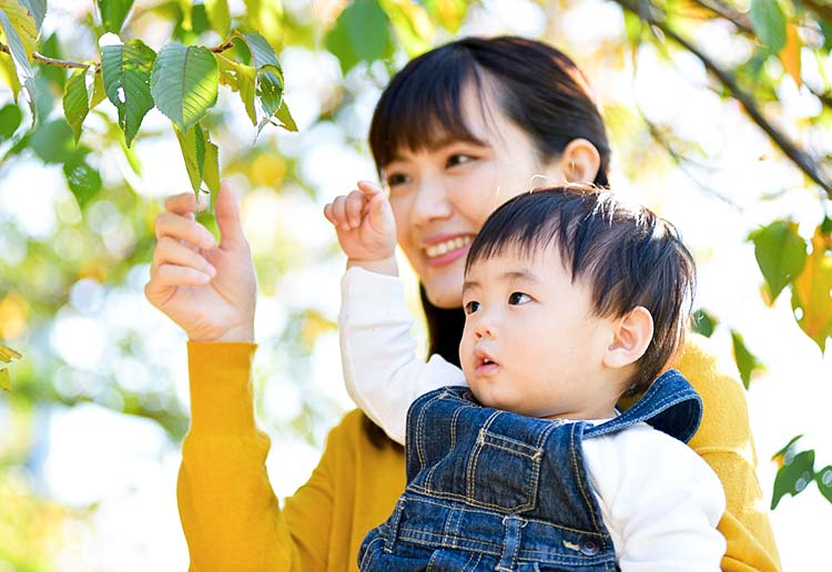 季節別対策のポイントイメージ画像